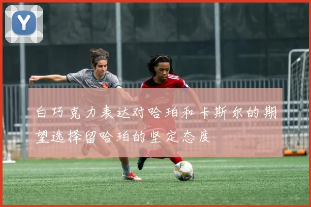 白巧克力表达对哈珀和卡斯尔的期望选择留哈珀的坚定态度